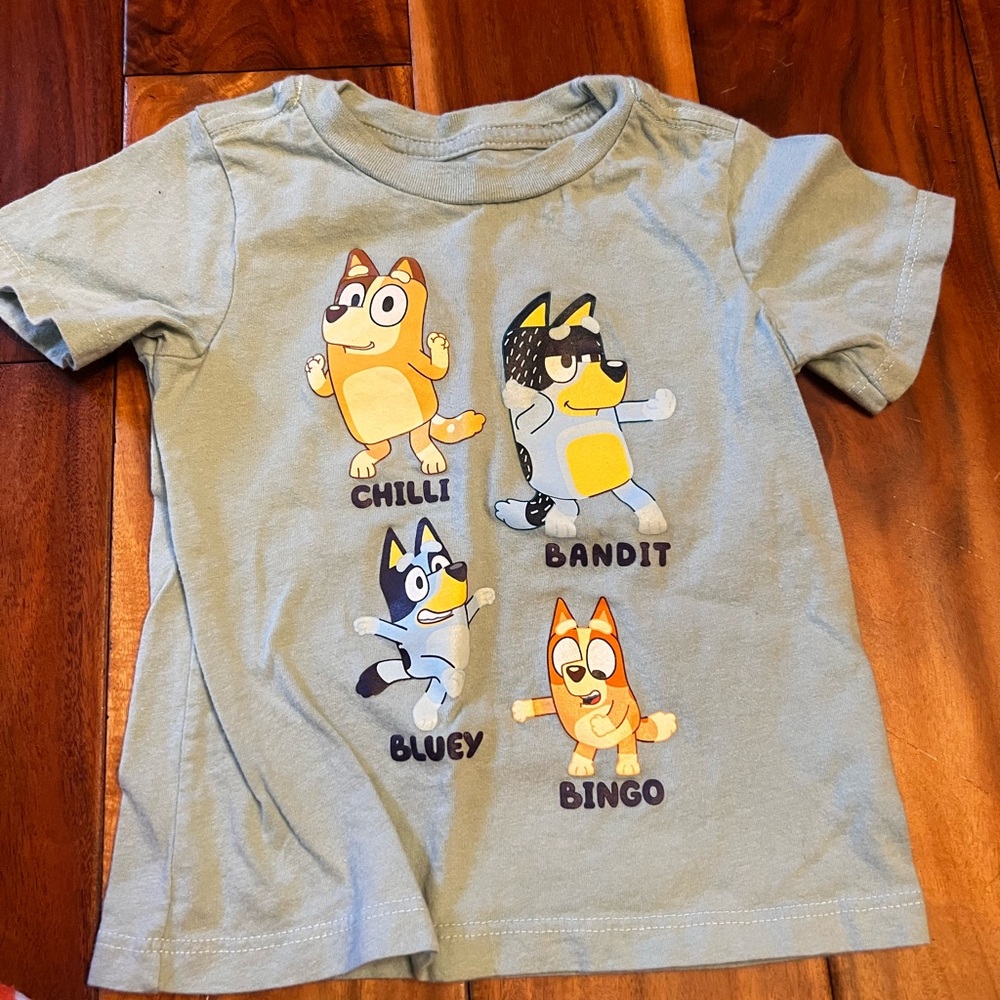 Toddler boy bluey t-shirt. Size 2t